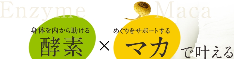 LLE82���T�C�g